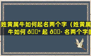 姓黄属牛如何起名两个字（姓黄属牛如何 💮 起 🕷 名两个字的名字）